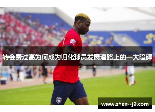 转会费过高为何成为归化球员发展道路上的一大障碍 转会费过高为何成为归化球员发展道路上的一大障碍