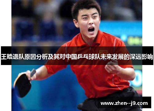 王皓退队原因分析及其对中国乒乓球队未来发展的深远影响 王皓退队原因分析及其对中国乒乓球队未来发展的深远影响