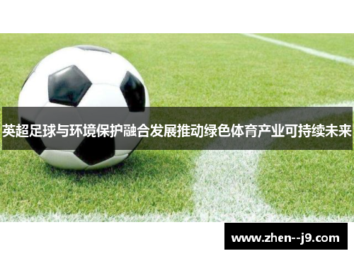 英超足球与环境保护融合发展推动绿色体育产业可持续未来