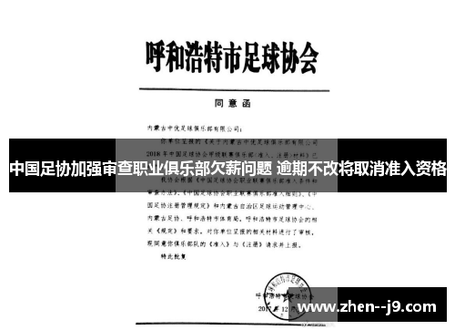 中国足协加强审查职业俱乐部欠薪问题 逾期不改将取消准入资格